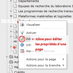 Au clic sur l'icône de la page, un menu contextuel apparaît, choisir "Editer"