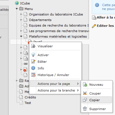 Au clic sur l'icône de la page, un menu contextuel s'affiche. Survoler "Actions pour la page" à l'intérieur de celui-ci puis cliquer sur "Copier"