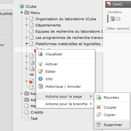Au clic sur l'icône de la page, un menu contextuel apparaît, sélectionner la rubrique "Actions pour la page" puis "Supprimer"