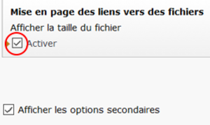 Clic sur "Activer" dans "afficher la taille du fichier