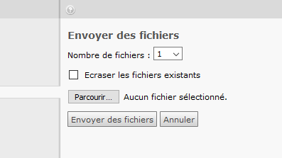 TYPO3 version 4.5 - Envoyer un fichier sans le plugin Flash