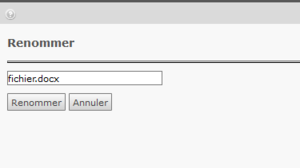 TYPO3 version 4.5 - Renommer un fichier