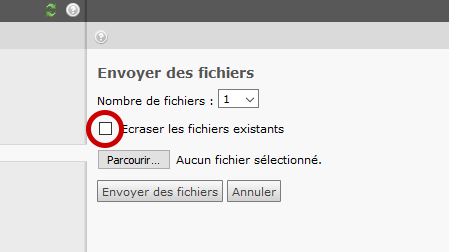 TYPO3 version 4.5 - Écraser un fichier sans le plugin Flash