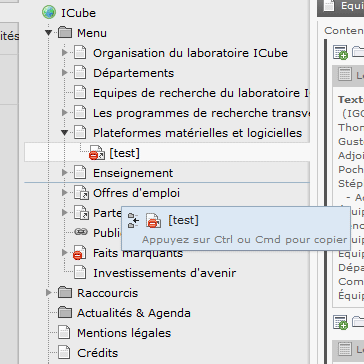 Cliquer sur l'icône de la page à copier